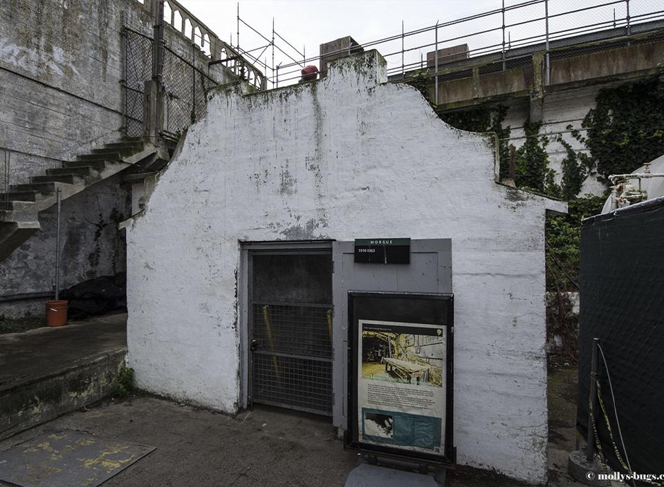 الحلقة ٣ - المشرحة