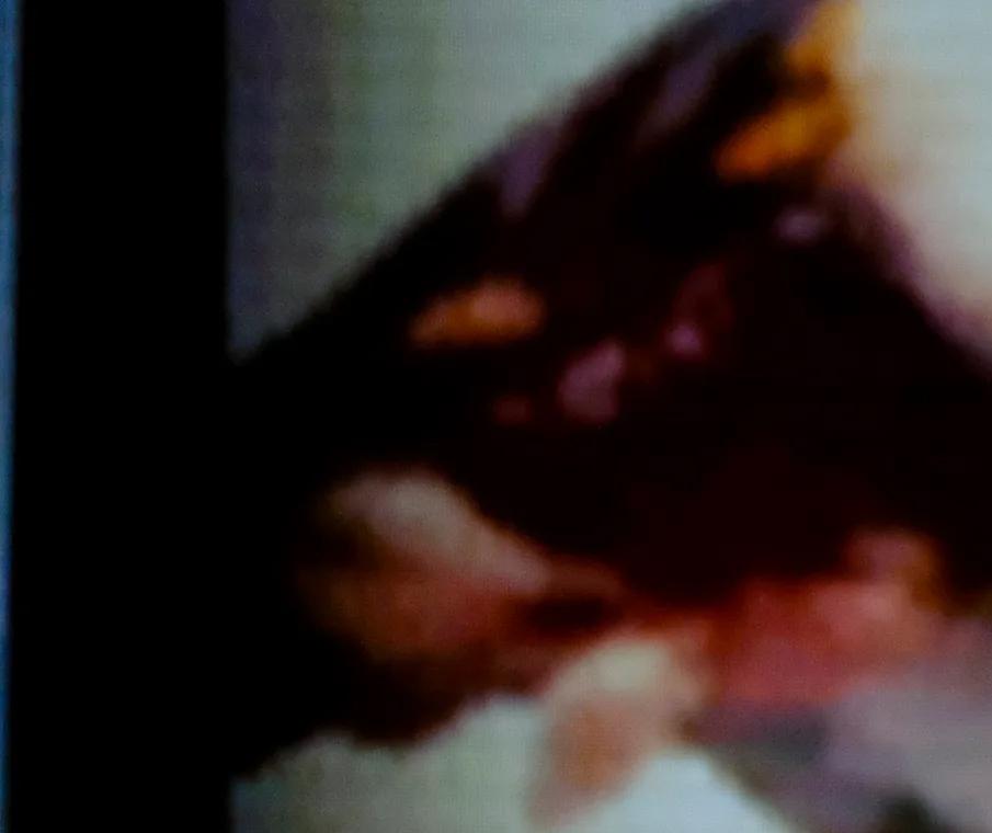 Ryan Niemiller AGT FINALS