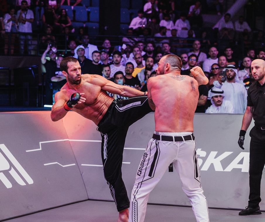 Rockhold vs Machida