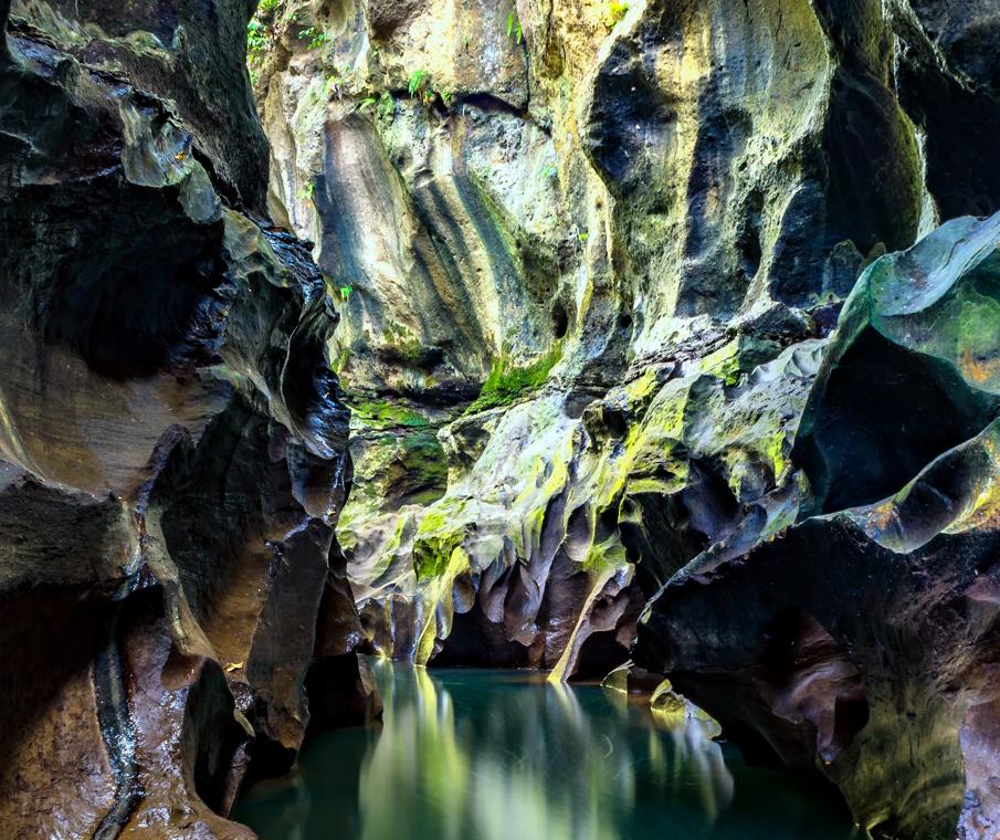 هيدن كانيون وشبكة جي يو