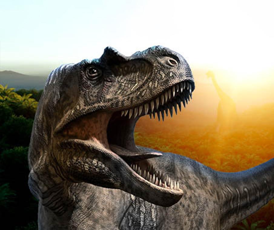 الديناصورات في الوادي